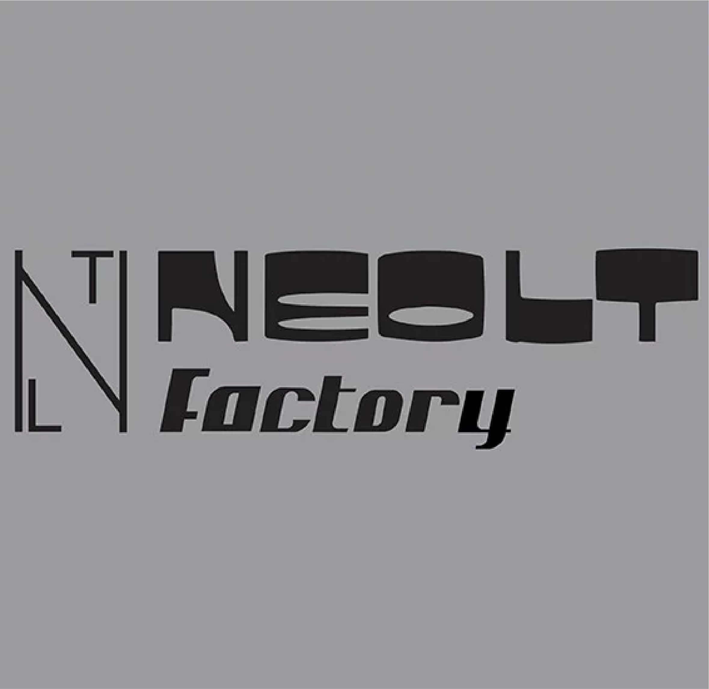 Neolt Factory: 80+ Years of Italian Innovation in Finishing Technology