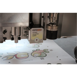 COMAGRAV Camera System – Intelligent Cut Path Recognition for Printed Materials
